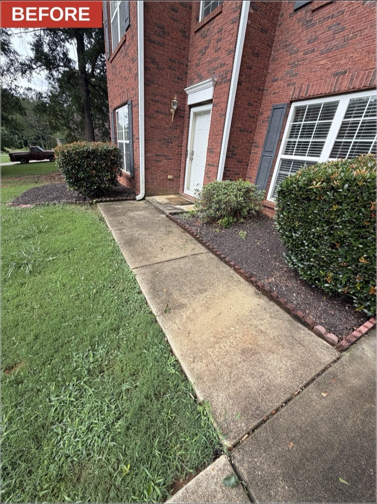 Walkway before pressure washing